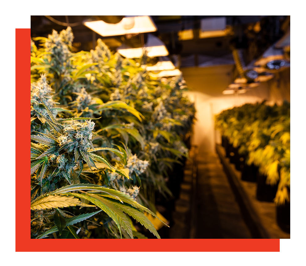 source-full-column-img